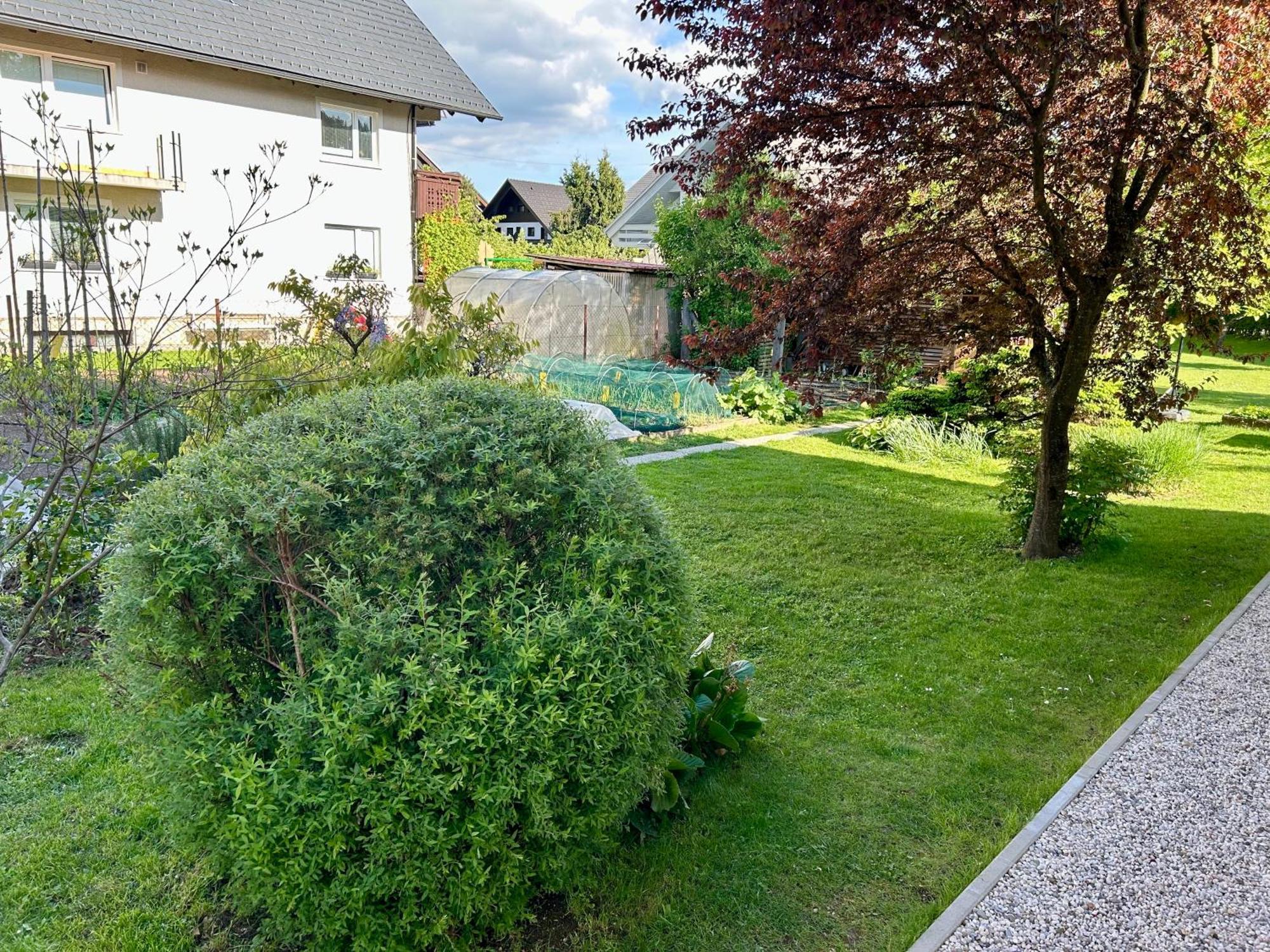 Apartment Gallus Bled Exterior foto